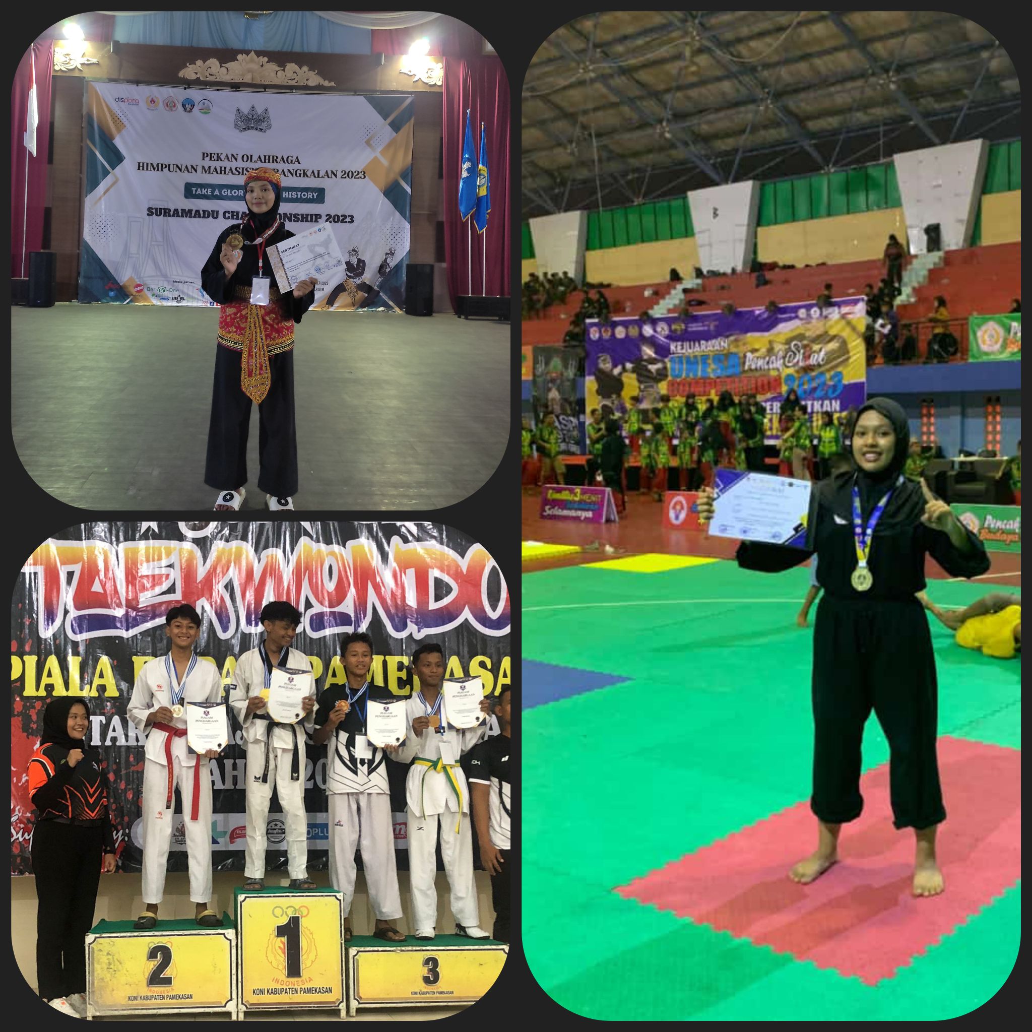 Prestasi siswa siswi SMA Negeri 1 bangkalan dalam cabang olahraga pencak silat dan taekwondo